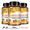 Cordyceps extract mushroom capsules, high concentration of cordyceps essence, gentle and easily absorbed, suitable for adults.