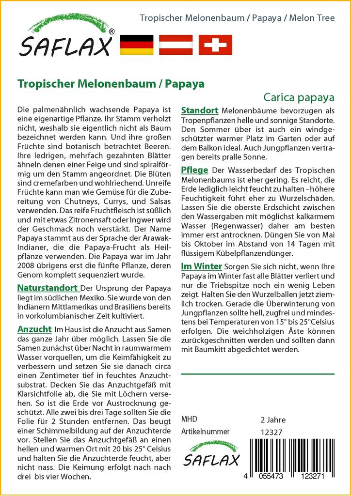 SAFLAX Дынное дерево - 30 семян - Carica papaya