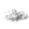 Flocons de dorure Argent 1 g