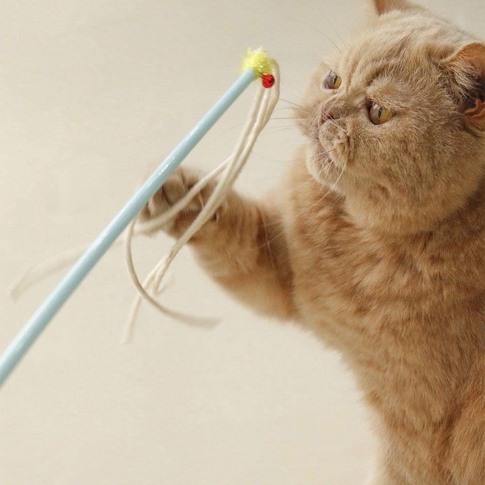 Durable Kitten Stick Toy Chew-resistant Cat Teaser Toy Fun Cat Teaser Wand Cat Enrichment