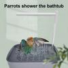 Ванночка для попугая с помпой Автоматическая циркуляция воды Душ-фонтан для птиц Питание от USB Ванночка для купания попугая кореллы, неразлучника, конура, волнистого попугая