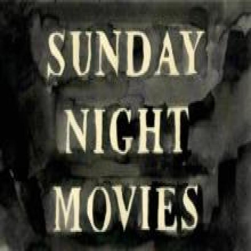 Sunday Night Movies by Leanne Shapton Paperback Book 9781770461277