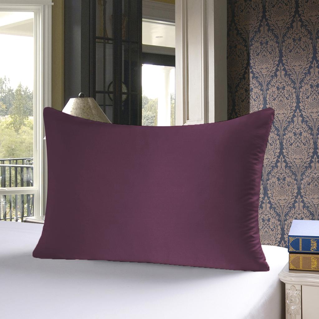 25 Momme Natural Mulberry Silk Pillowcase,Both Sided Pure Silk Pillow Cover Gifts for Women,Pure Silk Pillowcsae For Hair