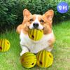 Игрушка для собаки снимает скуку Устойчивый к укусам мяч Большая собака Самоудовлетворение и звуки Собака-питомец Устойчивая к укусам Большая собака Звуковая игрушка
