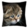 (Nikita) Throw Case Star Shining PrintedSofa Cushion Cover Home Decor