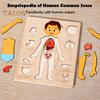 Body Parts Puzzle Matching Game Educational Human Body Structure Anatomy Puzzle Board Kids Toddlers Wooden Body Puzzle Learning STEM Toy