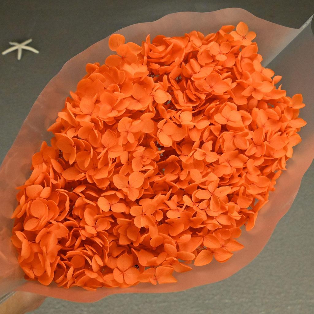 Phantom Flower: Single 20CM Preserved Hydrangea, Handmade Dried Bouquet for Decoration