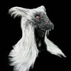 Red Eyes Werewolf Latex Masks Terror Animal Fancy Headdress Prank Costume Cosplay Props Wolf Headgear Black White Wolf Mask