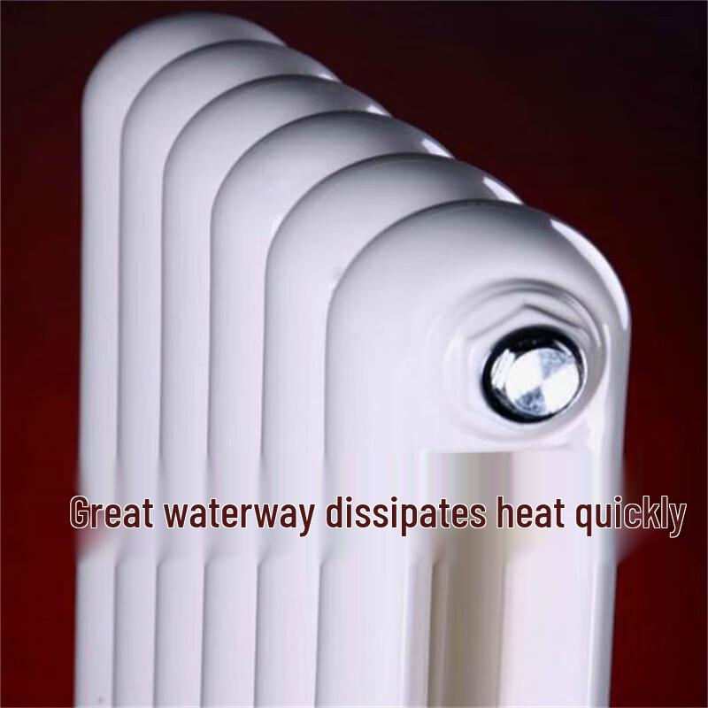 Dongfeier 6030 Steel Double-Column Hydronic Radiator