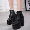 Мода 15СМ Российские Горячие Продажи Женская Обувь Толстая Платформа Высокий Каблук Женские Ботильоны Круглый Носок Шнуровка Молния Мотоциклетные Ботинки