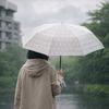 Portable Folding Umbrella Waterproof Transparent Umbrella Cute Automatic Umbrella  Rainy Day