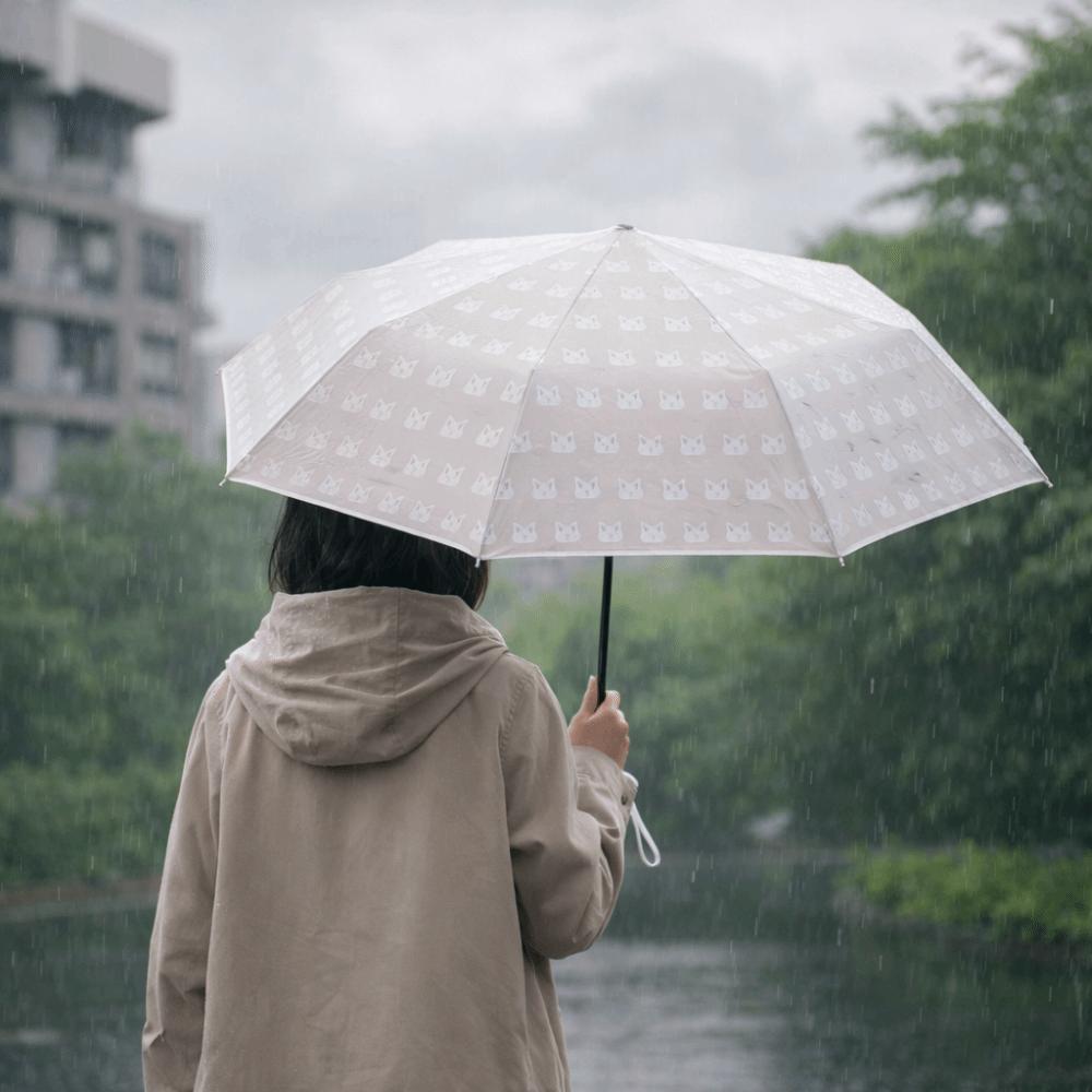 Portable Folding Umbrella Waterproof Transparent Umbrella Cute Automatic Umbrella  Rainy Day