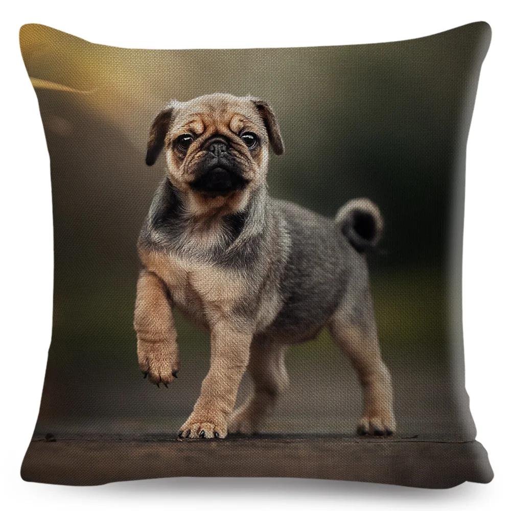Both Sided Pug Dog Print Cushion Cover Decoration Pet Animal Pillow Case for Sofa Home Car Linen Pillowcase 45x45cm