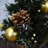 Lifelike Artificial Pine Tree 20/30/40cm Christmas Tree Ornaments  Hotel Office Decor