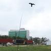 Раздвижной отпугиватель птиц, воздушный змей Flying Hawk с телескопической штангой 5 м
