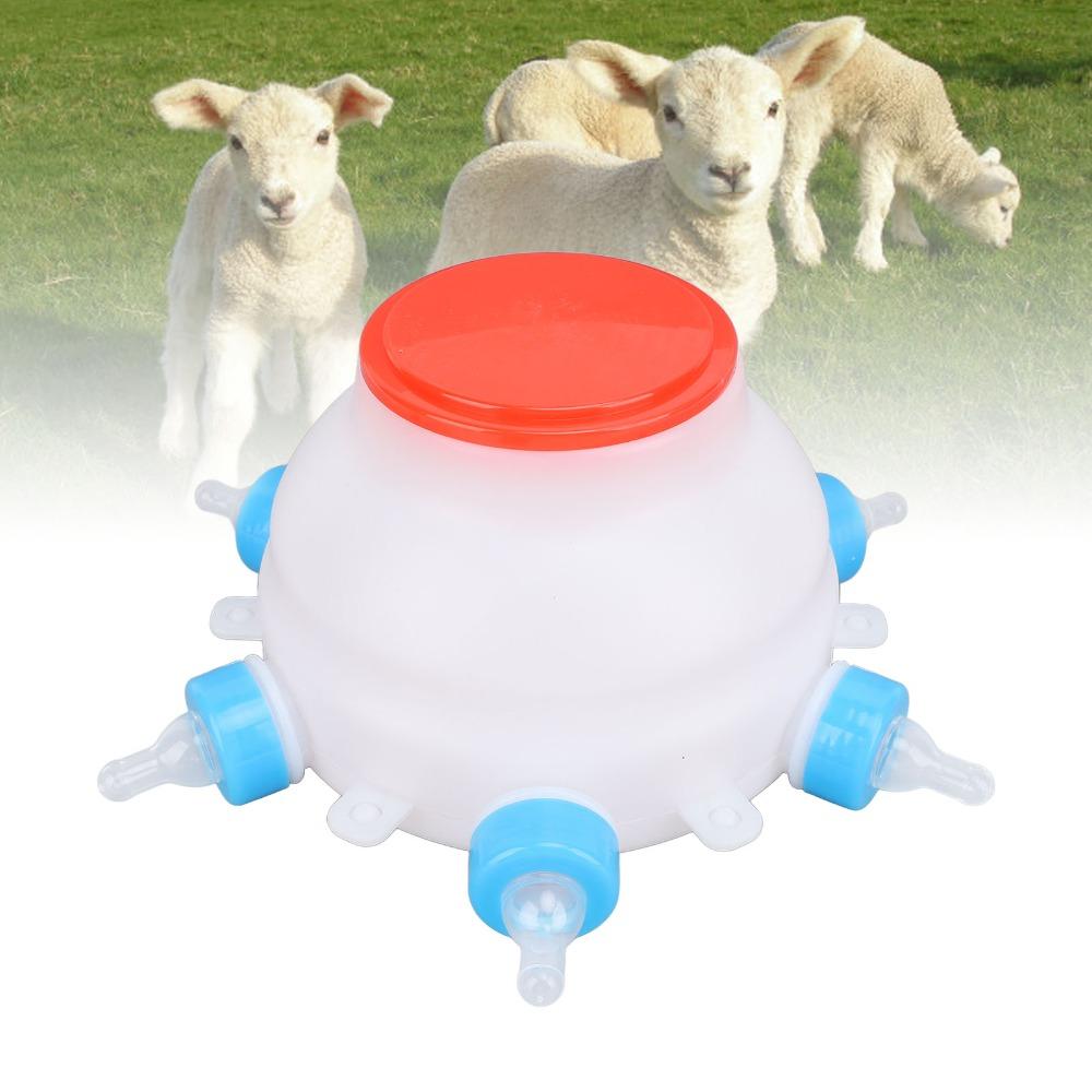 13 Pcs Set 6 Nipples Lamb Milk Bottle Thickened Piglet Feeder Bottle Young Livestock