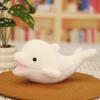 PP Cotton Simulation Dolphin Plush Toy Fluffy Plush Stuffed Whale Toys  Kids Gifts