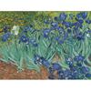 Van Gogh's Iris Flowe Flower DIY Painting By Numbers Wall Art Picture Acrylic Painting For Home Decoration