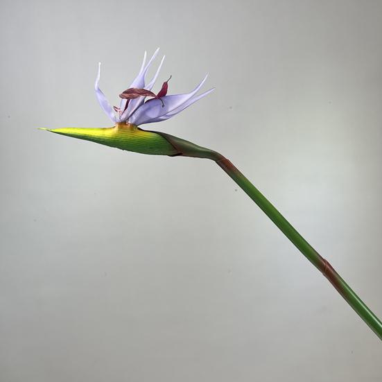 Artificial Flower Lifelike Bird of Paradise Realistic Non-fading And Low Maintenance Home Decoration