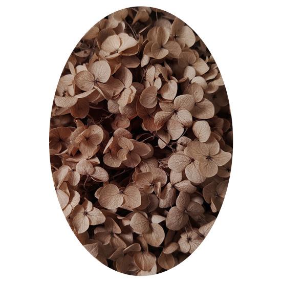 1 коробка, головки сушеных цветов, цветные, изысканные, 21 стиль, отличные привлекательные цветы гортензии, домашний декор