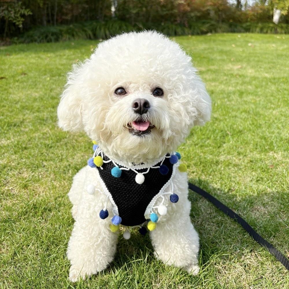 Breathable Mesh Dog Harness Vest Colorful Ball Dog Chest Strap Pet Harness Leash  Daily Use