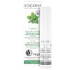BIO-Cream Antibacterial STOP-ACNE for Problem Skin Mint and Salicylic Acid from Willow Bark Logona 6 Ml