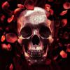 5D Diy Алмазная картина Роза Череп Алмазная вышивка Полный набор аниме Наборы для вышивки крестом Домашний декор Подарок ручной работы