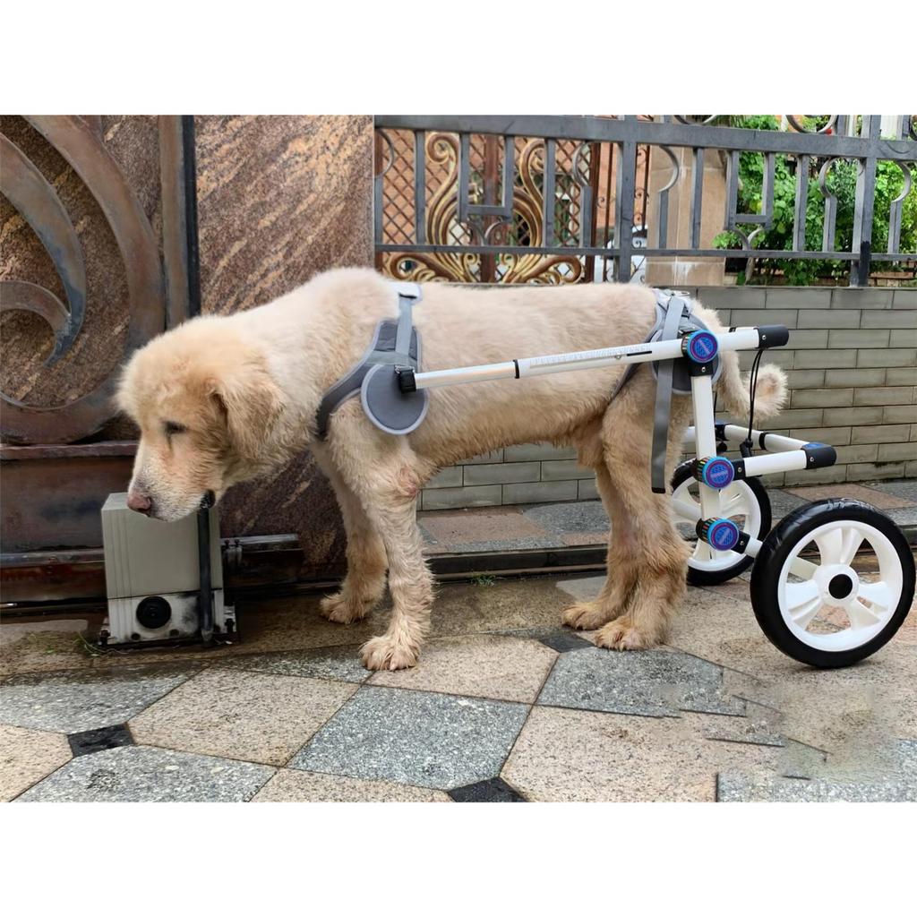 Инвалидная коляска для маленьких домашних собак, инвалидная коляска с функцией ходьбы