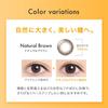 Cleo UV Ring Contact 30 линз на натуральный коричневый цвет одноразовые контактные линзы на 1 день, коробка, (Ежедневные линзы) (PRW -5.50)
