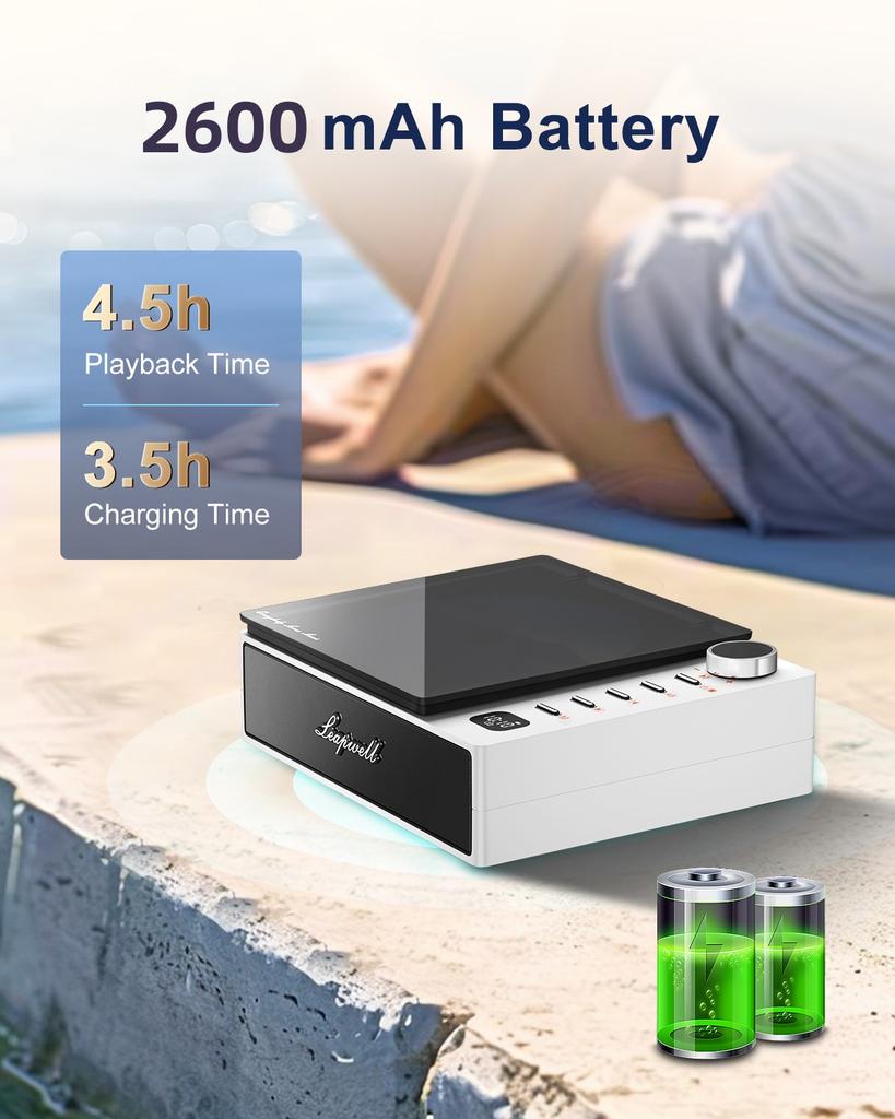 Hot Professional CD Player Built-in Speakers Stereo with 3.5 Mm Headphone and Remote Control LED Screen Bluetooth/U Disk Players