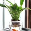 Self-Watering Round Hydroponic Vase