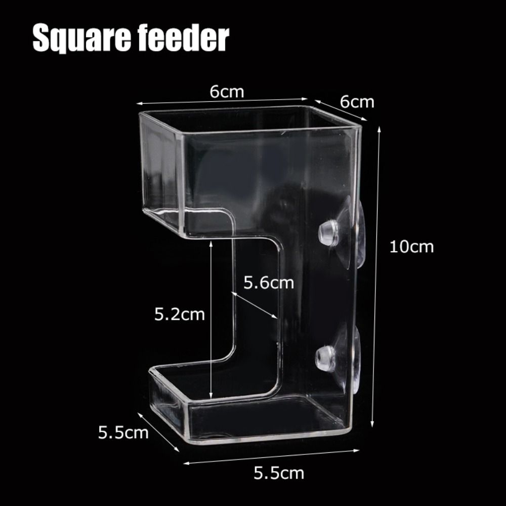 Suction Cup Aquarium Feeders Ring Acrylic Fish Tank Food Dispenser for Baby Fish Shrimp