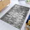 Washable Printed Carpet RVGHOME1517-SD309