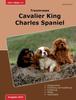 Книга Traumrasse : Cavalier King Charles Spaniel