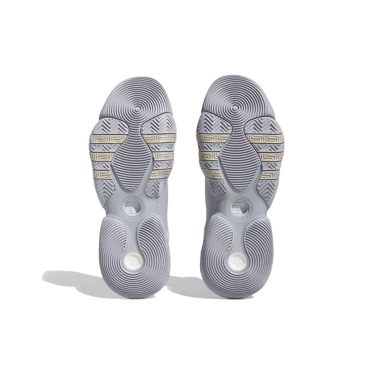 Adidas Trae Young 2 Dash Grey Men Sneakers Halo-Silver Matte-Silver HQ0997