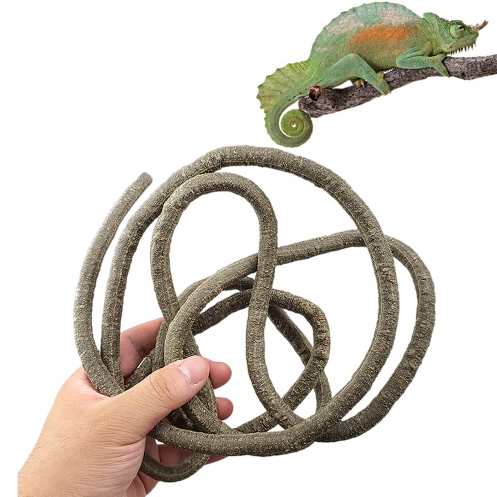 Рептилии Растение Скрыть Виноградная Ветка Листья Террариум Джунгли Среда обитания для Ящериц Гекконов Змея Декоративное Ложное Растение