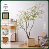 Juhan Azalea Tree Bionic Green Plant - Indoor Luxury Floor Bonsai Decoration Ornament