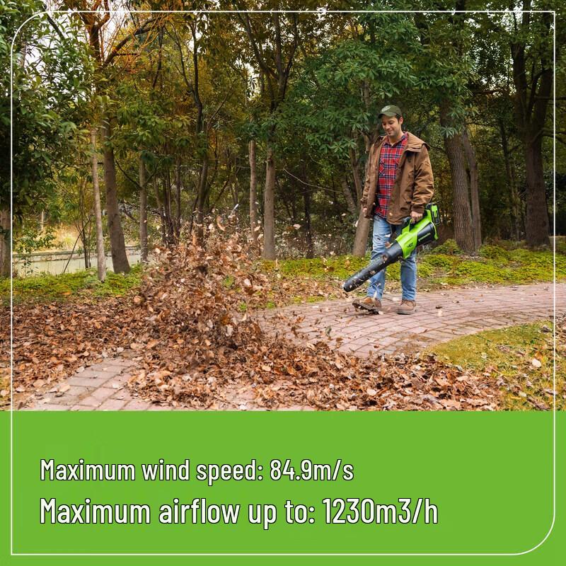 Greenworks Cordless Blower CN plug (adapter included)