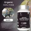 Organic Gotu Kola 1000mg Capsules Improves Memory, Blood Pressure Control