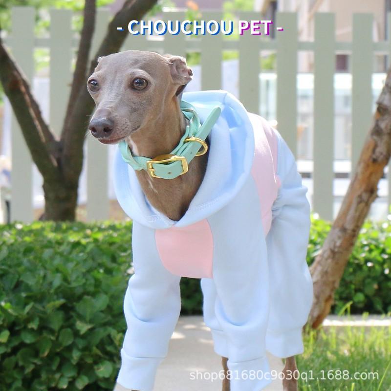 Pet Hooded Fleece Jacket Italian Greyhound Whippet Four-Legged Warm Winter Coat Blue Pink Colorblock