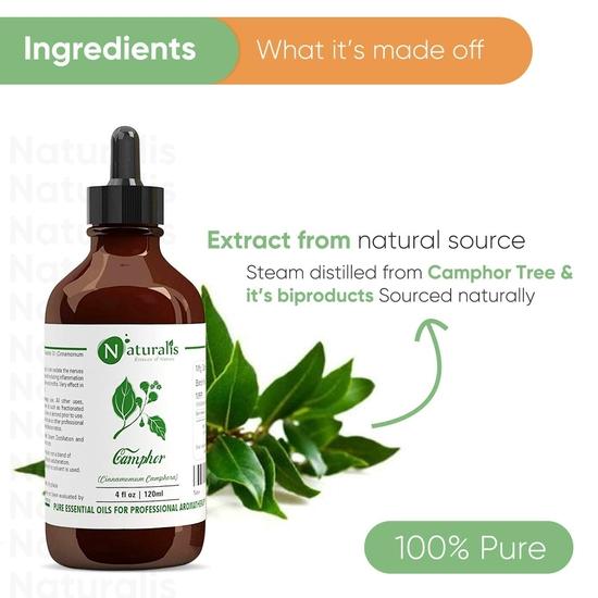 Naturalis Camphor Oil - Pure and Natural Steam Distilled Camphor Essential Oil for Skin, Hair and Aromatherapy - Camphor Mosquito Repellent - 120ml
