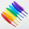 10-15Cm/4-6Inch Colorful Duck Feathers Handicraft Accessories Small Goose Plumes Jewelry Creation Diy Gift Decorations