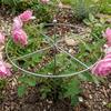 Weather-Resistant Metal Plant Support Ring Peony Flower Support Stake  Plant Growth Fixing
