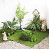 Artificial Moss Turf Carpet for Indoor & Outdoor Decoration