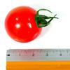 Food replica edible cherry tomato 239OM magnet (red)