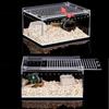 Transparent Acrylic Reptile Breeding Box for Spiders Lizards Amphibians Leakproof Pet Habitat Arboreal Wolf Spider Enclosure