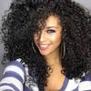 Afro Women Fashion Short Black Curly Wig Synthetic Hair for Women