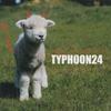 CD TYPHOON24 - Helpless SHEEP0004 Hits-G Records 2005 Япония ObiRock Б/У