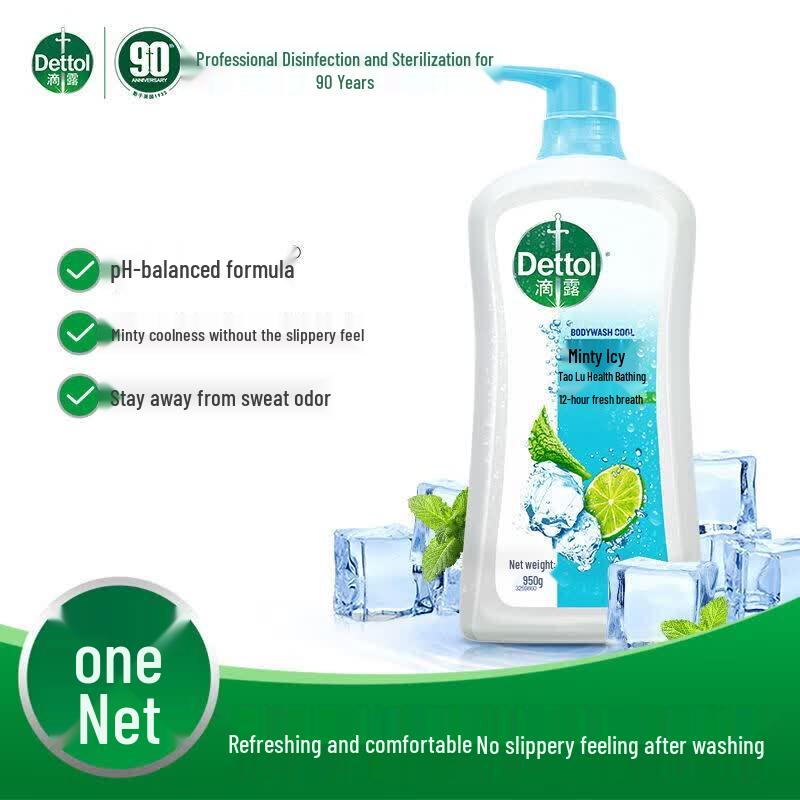 Dettol Mint Ice Cool Health Shower Gel
