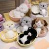 Sleeping Basket Animals Nest 2 In 1 Koala Rabbit Dog Cat Bear Plush  Dolls Super Soft Toys Birthday Xmas Presents for Boys